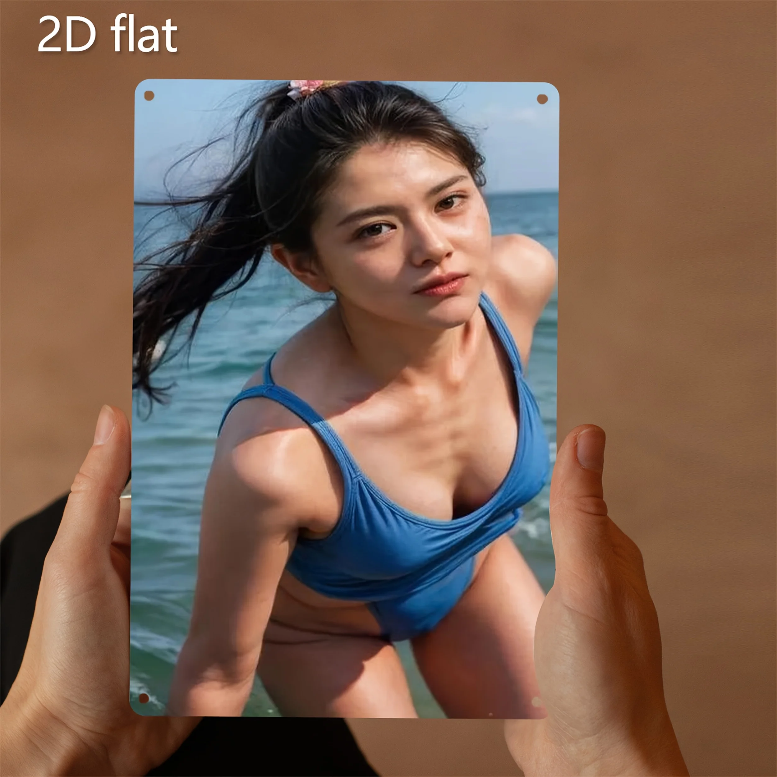 2D Metal Sign, Bikini Pool Par - огляд і ціна Vintage Collectible Plates