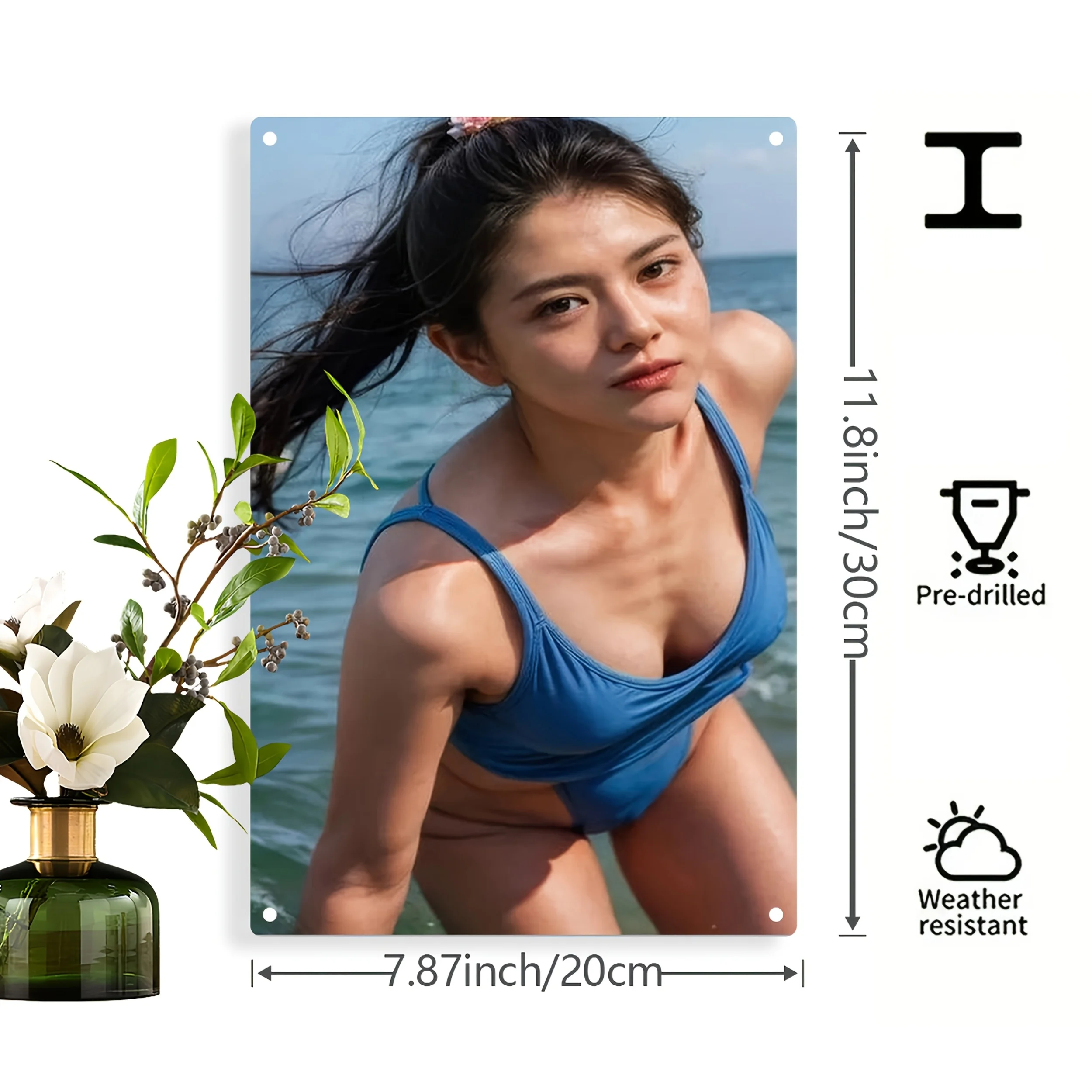 2D Metal Sign, Bikini Pool Par - огляд і ціна Vintage Collectible Plates